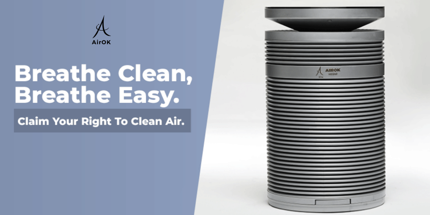 4 Things to Consider When Buying an Air Purifier.
