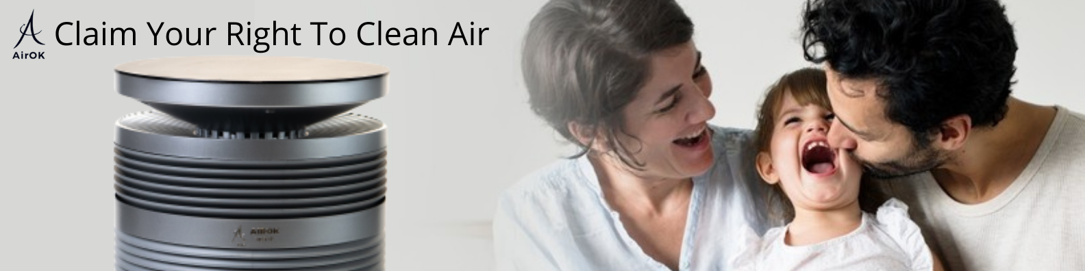 Air purifier for allergies and dust